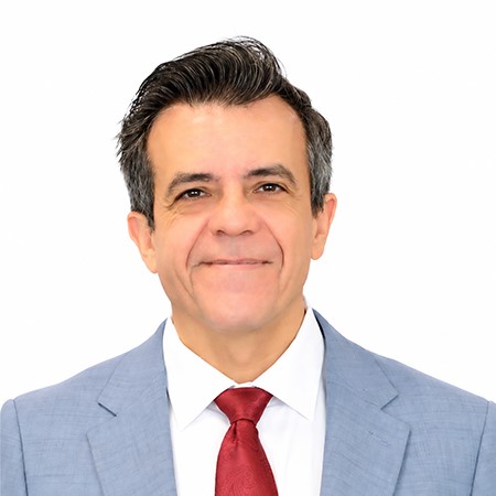 Prof. David Fernandez